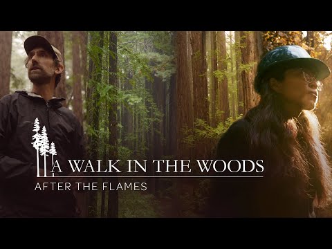 A Walk in the Woods: After the Flames