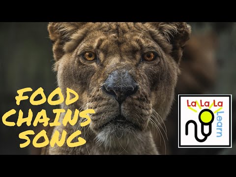 Food Chain song (science)- La La La Learn