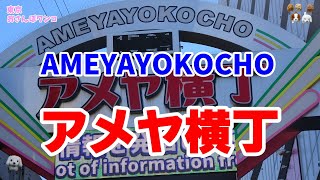 【上野】【アメヤ横丁】上野アメ横の通りを散策。年末恒例の海産物のたたき売り店から米軍払い下げ時代の名残の洋服やライター、ナイフのほか飲食店などジャンルが定まらないゴチャゴチョがこの街の魅力です。