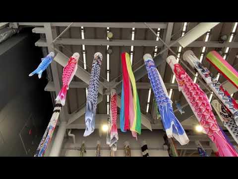 Hidden Japan   92　商店街の鯉のぼり　Carp streamer in the shopping street