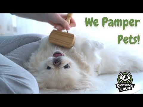 Diamonds in the Ruff Pet Resort and Salon in Abilene, TX | We Pamper Your Pets