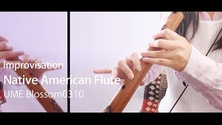 【Improvisation】Native American Style Flute / UME Bloosom 0310【BGM】