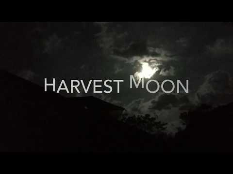 Harvest Moon