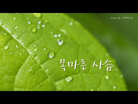 /CCM/생활성가/ 목마른 사슴 (As the Deer) - Marty Nystrom (Cover by 노래해주리♪)