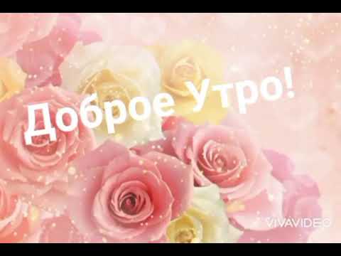 Доброго Утра! ☕🍩/Отличного Дня!🌹