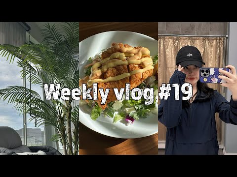 【强子的VLOG#19】红油小馄饨🥣｜后院阳光房做好啦｜依旧是做了很多次的鲜肉包😋｜烤猪肋排｜meijer采购🛒｜一周逛一次Costco｜水培小葱