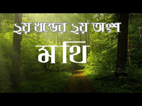 এক নজরে মথি ১৪-২৮