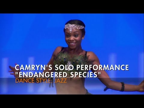 Dance Moms | Camryn's Solo | Endangered Species (S7,E6) HD