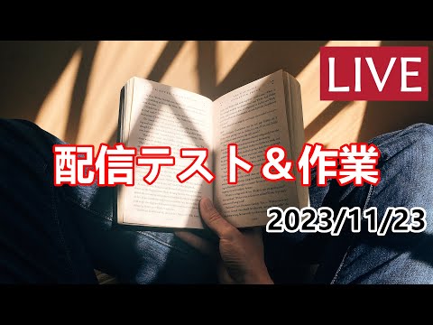 【作業配信】ちょっとだけ作業 2023/11/23【配信テスト】