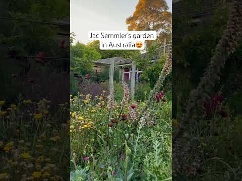 Super Bloom founder Jac Semmler’s suburban garden in Australia #gardendesign