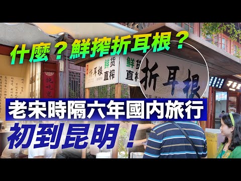 初到昆明，我被這裡的舒適和美食所震驚！【雲南紀行#1】