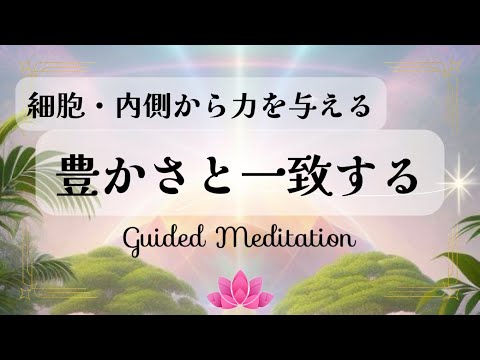 【誘導瞑想10分】細胞・内側から力を与える｜豊かさと自分を一致させる