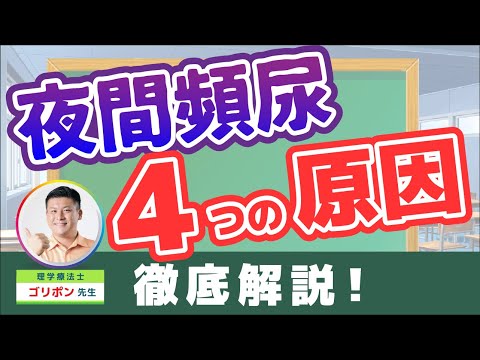 【解説】夜間頻尿を引き起こす4つの原因とは？なぜ起こるのかを理解して対策しよう！