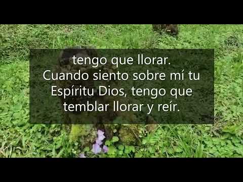 Rigoberto Amaya. Oficial. Tu presencia en mi. Letra