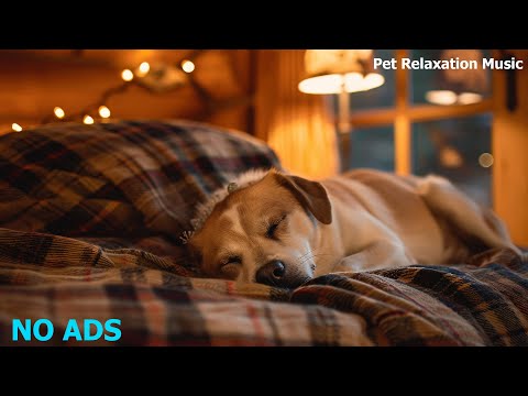 🐶Relaxing Music To Calm Pets 💛 MUSIC THERAPY To LEAVE DOGS ALONE AT HOME Relaxing