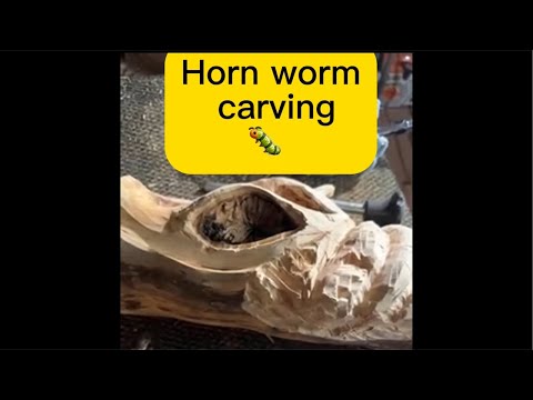 horned worm carving update ￼