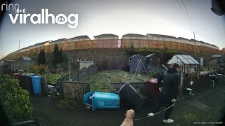 Dog Walker Takes Running Stumble Into Garbage Bins || ViralHog