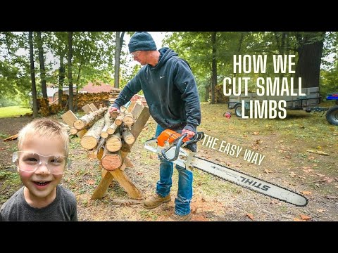 Small Limbs BIG Saw = Firewood