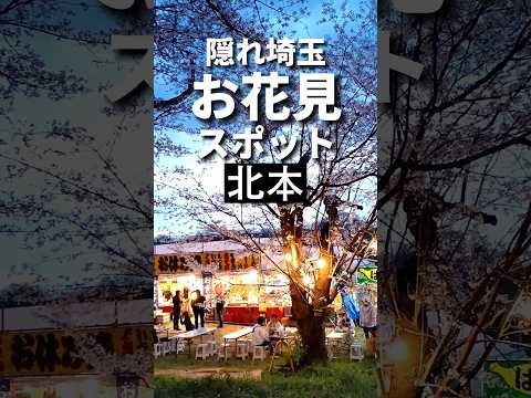 埼玉お花見スポット【地元民のみぞ知る】北本桜土手