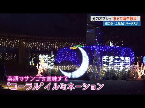 「大月の海をイメージ]」LED5万個“コーラル”イルミネーション【高知・大月町】 (24/12/18 16:59)