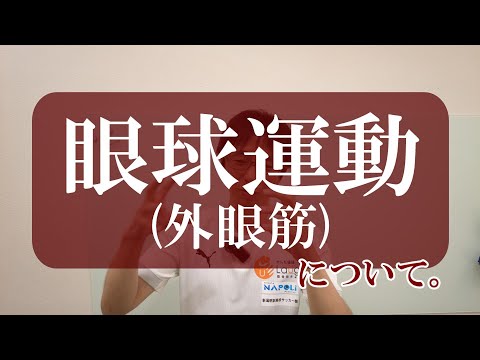 【トピックストーク】眼球運動外眼筋について