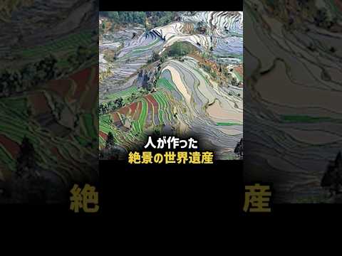 人が作った絶景の世界遺産紅河ハニ棚田のここだけの話