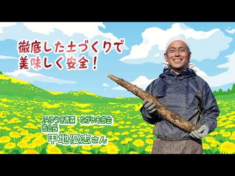 2022年12月2日放送「Fresh Vegetable」旬の青森県産ながいもを紹介～JAゆうき青森より～