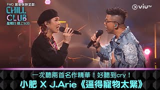 《CHILL CLUB》一次聽兩首名作精華！好聽到Cry！小肥 X J.Arie 《逼得寵物太緊》