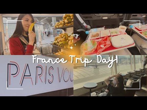 【vlog】フランス旅行🇫🇷DAY1〜JALの直行便で羽田からシャルル・ド・ゴール空港まで✈️〜【機内食】【空港ホテル】