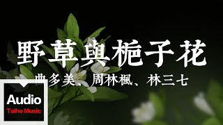 曲多美、周林楓、林三七【野草與梔子花】HD 高清官方歌詞版 MV