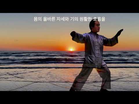 태극권 taichi  누구나 원하는 건강한 장수, 그 바람을 함께 이루어 갑시다.             대한태극권협회 & 이찬태극권도관 #shorts