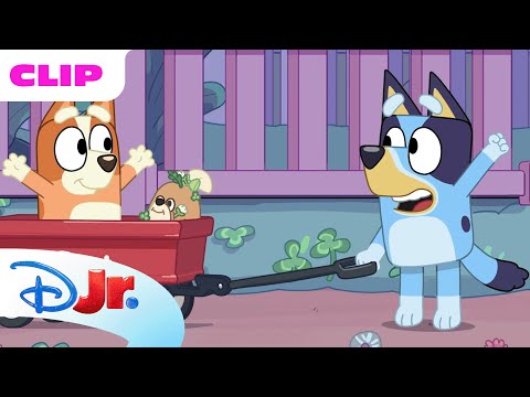 Bluey Season 1 "Wagon Ride" Episode Clip | @disneyjr x @BlueyOfficialChannel