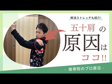 【五十肩の治し方】肩が痛い、上がらない方へのストレッチ！｜接骨院のプロが教えるお家セルフケア｜テラピスト接骨院