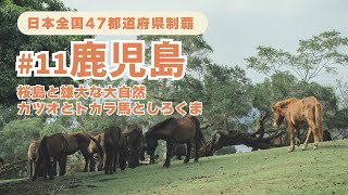 鹿児島で桜島と白熊の定番ルートを巡る1泊2日