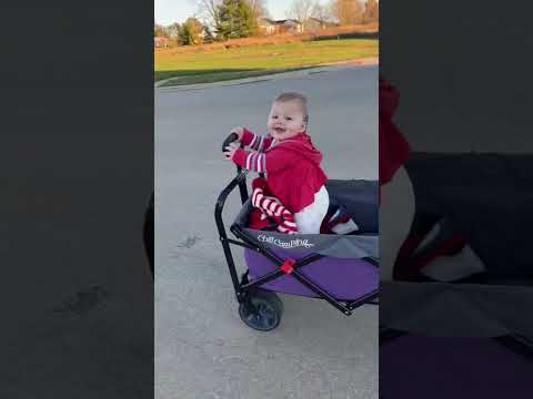 Baby Drives the Wagon