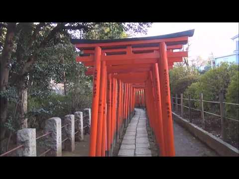 根津神社 　谷根千