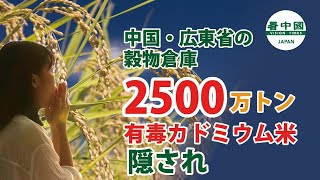 中国・広東省穀物倉庫 有毒カドミウム米が混入（ 2500万トン）