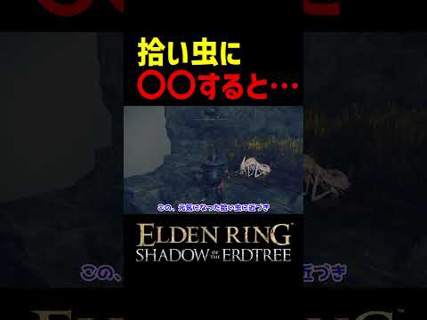 【エルデンリング DLC】拾い虫に〇〇すると・・・　#Shorts #エルデンリング #エルデン #小ネタ #エルデンリング DLC #eldenring #eldenringdlc