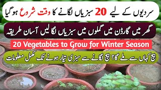 Start Time Of WINTER Season Vegetables Growing At Home | Home Vegetables Garden | Kitchen Gardening