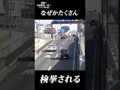 【ネズミ捕り】祝日あるある～なぜかBMWが捕まりやすい【速度取締り】