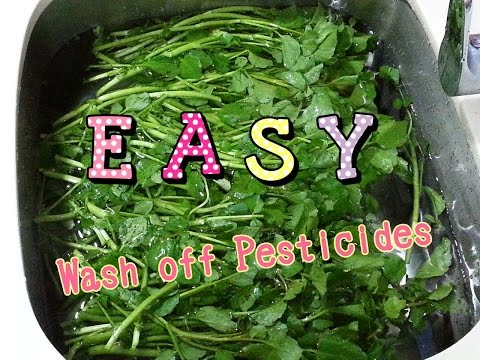 How To Wash Off Pesticides On Vegetables（簡易清洗蔬菜農藥）