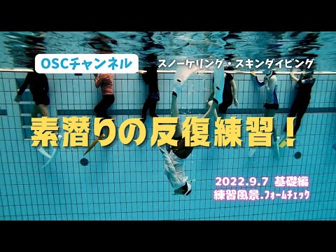 素潜りの反復練習！上手に潜るカタチとは？OSCスキンダイビング講習会・基礎編！横浜国際プールのダイビングプール（水深5メートル）