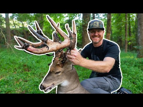 180" URBAN GIANT on Opening Day!: Story of Rufus