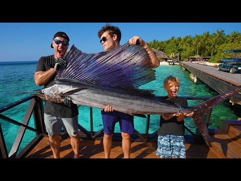 The FISH That Fed An ISLAND In The Maldives