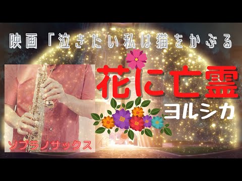 【花に亡霊/ヨルシカ】ソプラノサックスで吹いてみた　音割れるかも？イヤホン推奨