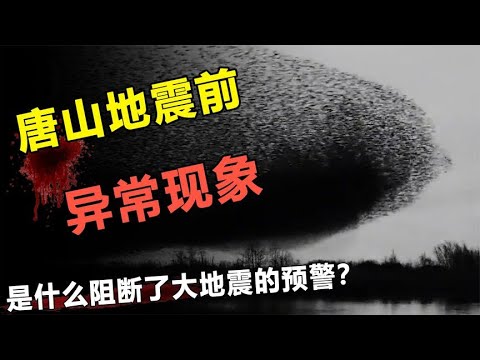 大地震前真的有预兆吗？揭秘唐山地震前的异常现象！