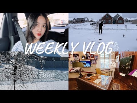 【强子的VLOG#25】全家中招被病毒打倒｜中部雪灾加流感｜年前去的KFC总部｜Costco新品零食尝鲜｜2025年的第一场“大雪”❄️