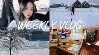 【强子的VLOG#25】全家中招被病毒打倒｜中部雪灾加流感｜年前去的KFC总部｜Costco新品零食尝鲜｜2025年的第一场“大雪”❄️