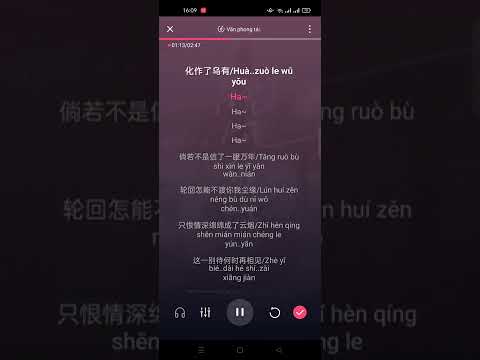 Vãn phong tác tửu - Đào Tử (L) 晚风作酒 - 桃籽 (L) Pinyin Karaoke