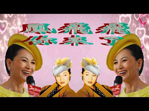 鳳飛飛-你來了(極品音質)